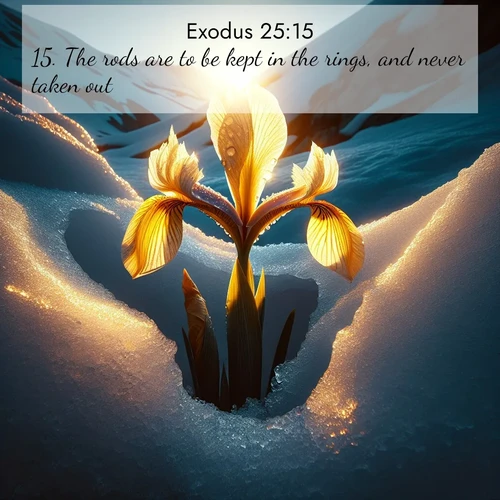 BasicEnglish Exodus  ; image nature: image with the bible verse :The rods are to be kept in the rings, and never taken out. ; Download stunning Bible verse images paired with nature scenes like rolling clouds, sparkling waters, and vibrant flower fields. These free images are perfect for spiritual reflection or wallpaper use. Share KJV Exodus 25:15. Current verse is overlayed with the thematic nature scene : Wild iris breaks through melting snow. Alpine light ignites its petals. ; 25:15