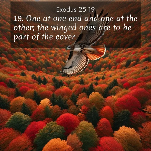 BasicEnglish Exodus  ; image nature: image with the bible verse :One at one end and one at the other; the winged ones are to be part of the cover. ; Explore a collection of inspiring Bible verse images accompanied by winter photos, such as snowy landscapes, frosted trees, and frozen lakes. These images reflect the peace and purity of God&#039;s creation, with elegant fonts and luminous colors. Download and share verses like KJV Exodus 25:19. Current verse is overlayed with the thematic nature scene : A red-tailed hawk circles above autumn woods. Leaves below form a mosaic of fire. ; 25:19