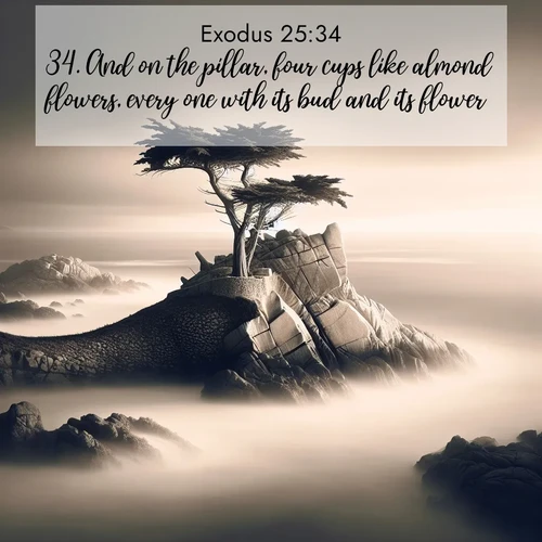 BasicEnglish Exodus  ; image nature: image with the bible verse :And on the pillar, four cups like almond flowers, every one with its bud and its flower: ; Browse our collection of vibrant Bible verse images set against calming backdrops like tropical shores, quiet woods, and majestic mountains. Download free wallpapers featuring KJV Exodus 25:34. Current verse is overlayed with the thematic nature scene : A lone cypress stands sentinel on a wave-carved point. Pacific storms have shaped its every branch. ; 25:34