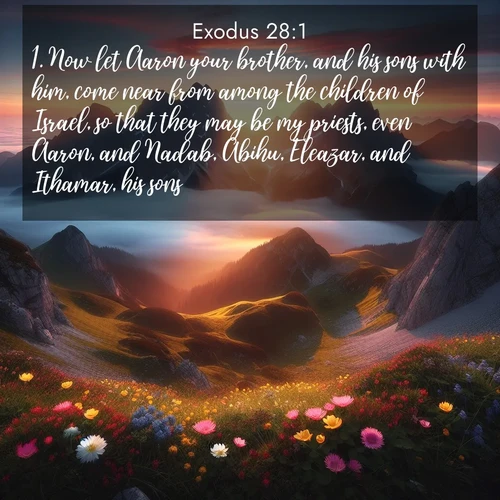 BBE 2 28:1