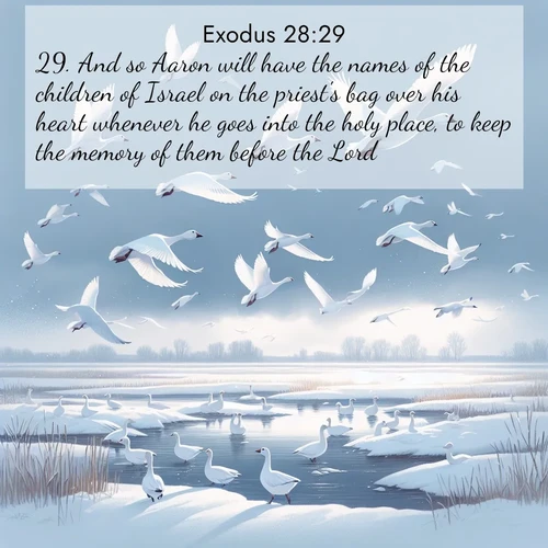 BBE Exodus 28:29 overlaying nature image scene: Snow geese take flight from a winter marsh. Their wings flash white against leaden skies.;29. And so Aaron will have the names of the children of Israel on the priest's bag over his heart whenever he goes into the holy place, to keep the memory of them before the Lord.