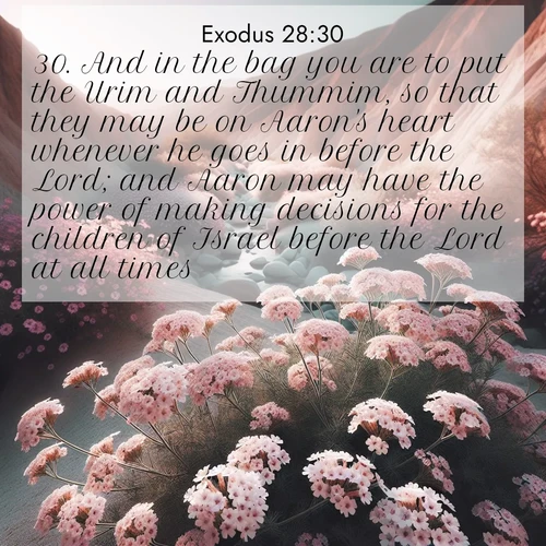 BBE Exodus 28:30 overlaying nature image scene: Desert verbena blooms in hidden washes. Flash floods carved these secret gardens.;30. And in the bag you are to put the Urim and Thummim, so that they may be on Aaron's heart whenever he goes in before the Lord; and Aaron may have the power of making decisions for the children of Israel before the Lord at all times.