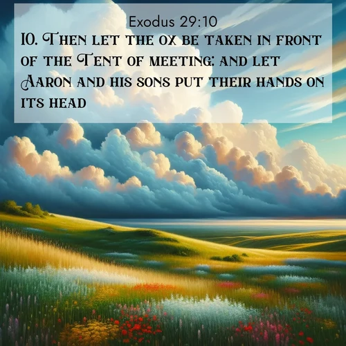 BBE Exodus 29:10 overlaying nature image scene: Summer thunderheads build over grasslands dotted with wildflowers.;10. Then let the ox be taken in front of the Tent of meeting: and let Aaron and his sons put their hands on its head.