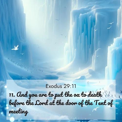 BBE Exodus 29:11 overlaying nature image scene: Antarctic ice cliffs glow blue in the endless polar day. A penguin colony dots the frozen shore below.;11. And you are to put the ox to death before the Lord at the door of the Tent of meeting.