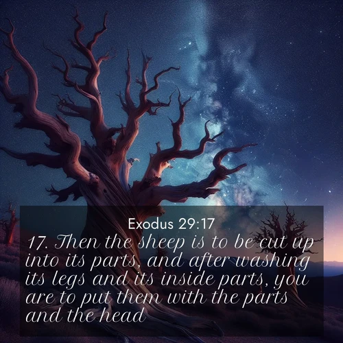 BBE Exodus 29:17 overlaying nature image scene: Ancient bristlecone pines twist toward stars. Time stands still in their presence.;17. Then the sheep is to be cut up into its parts, and after washing its legs and its inside parts, you are to put them with the parts and the head,
