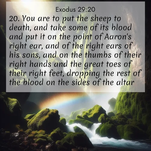 BBE Exodus 29:20 overlaying nature image scene: A waterfall thunders through ancient moss-covered rocks while rainbow mist rises where water meets stone.;20. You are to put the sheep to death, and take some of its blood and put it on the point of Aaron's right ear, and of the right ears of his sons, and on the thumbs of their right hands and the great toes of their right feet, dropping the rest of the blood on the sides of the altar.