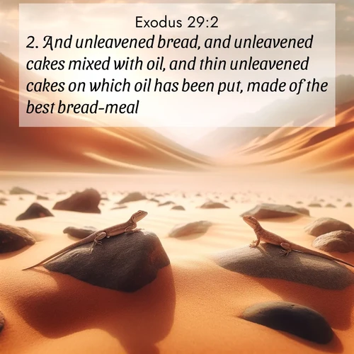 BBE 2 29:2