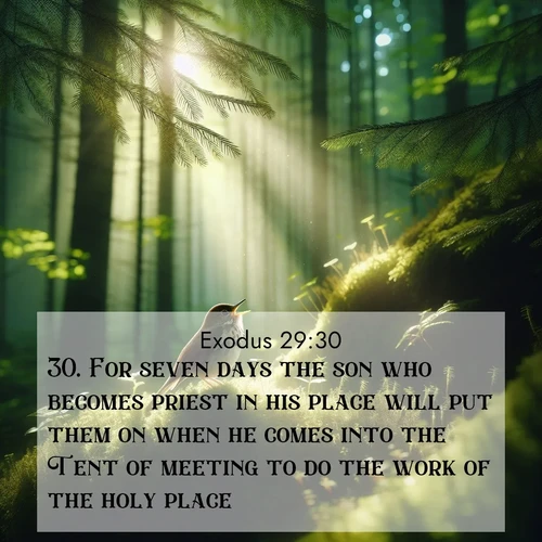 BBE Exodus 29:30 overlaying nature image scene: A hermit thrush sings from deep woods. Sunlight filters through green canopy.;30. For seven days the son who becomes priest in his place will put them on when he comes into the Tent of meeting to do the work of the holy place.