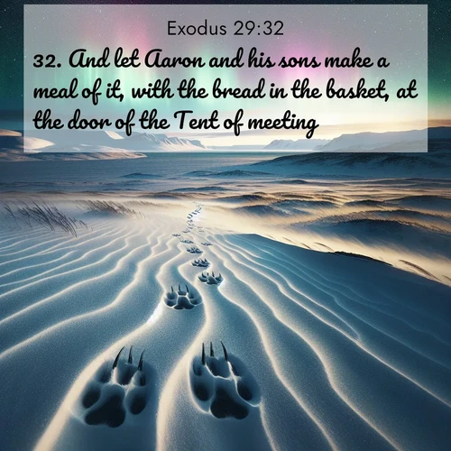 BBE Exodus 29:32 overlaying nature image scene: Arctic fox tracks cross windswept tundra. Northern lights pulse overhead in cosmic rhythm.;32. And let Aaron and his sons make a meal of it, with the bread in the basket, at the door of the Tent of meeting.