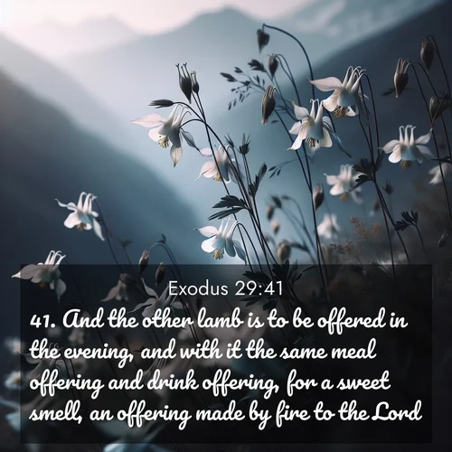 BBE Exodus 29:41 overlaying nature image scene: Wild columbines dance in breeze. Mountain air carries their perfume.;41. And the other lamb is to be offered in the evening, and with it the same meal offering and drink offering, for a sweet smell, an offering made by fire to the Lord.