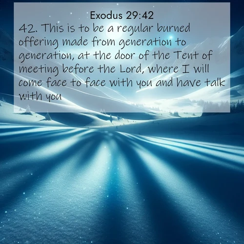 BBE Exodus 29:42 overlaying nature image scene: Moonlight illuminates the snowy mountain peaks, casting blue shadows across untouched powder.;42. This is to be a regular burned offering made from generation to generation, at the door of the Tent of meeting before the Lord, where I will come face to face with you and have talk with you.