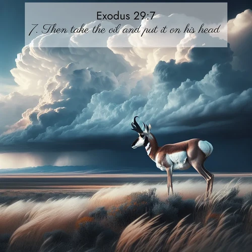 BBE Exodus 29:7 overlaying nature image scene: A pronghorn pauses on wind-swept plains. Storm clouds build dark towers above.;7. Then take the oil and put it on his head.