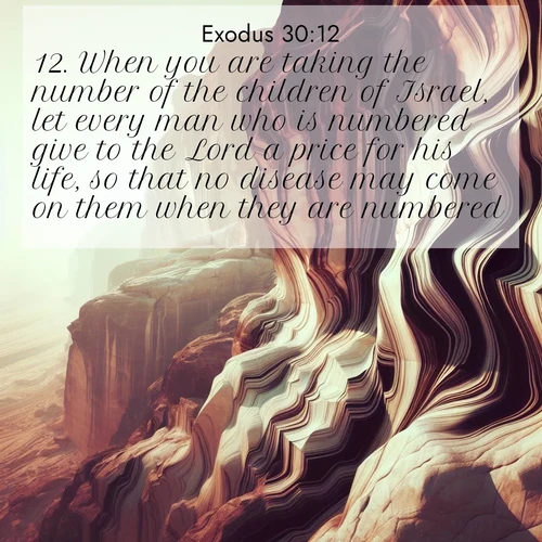 BasicEnglish Exodus  ; image nature: image with the bible verse :When you are taking the number of the children of Israel, let every man who is numbered give to the Lord a price for his life, so that no disease may come on them when they are numbered. ; Explore a winter collection of Bible verse images adorned with photos of icy landscapes, frozen waterfalls, and snow-covered forests. These scenes capture divine tranquility and purity. Download inspiring verses like KJV Exodus 30:12. Current verse is overlayed with the thematic nature scene : Desert varnish stains cliff faces in abstract patterns. ; 30:12