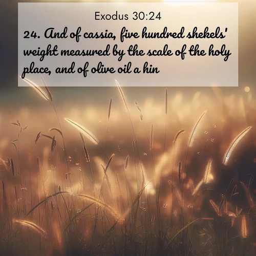 BBE Exodus 30:24 overlaying nature image scene: Summer heat brings out cricket songs in meadow grass.;24. And of cassia, five hundred shekels' weight measured by the scale of the holy place, and of olive oil a hin: