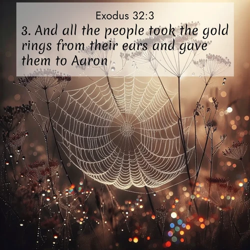 BasicEnglish Exodus  ; image nature: image with the bible verse :And all the people took the gold rings from their ears and gave them to Aaron. ; Admire stunning Bible verse images paired with photos of peaceful landscapes, such as foggy mornings, serene rivers, and blooming gardens. Download these free images and share verses like KJV Exodus 32:3. Current verse is overlayed with the thematic nature scene : Morning fog reveals spider galaxies. Dew drops capture rainbow light. ; 32:3
