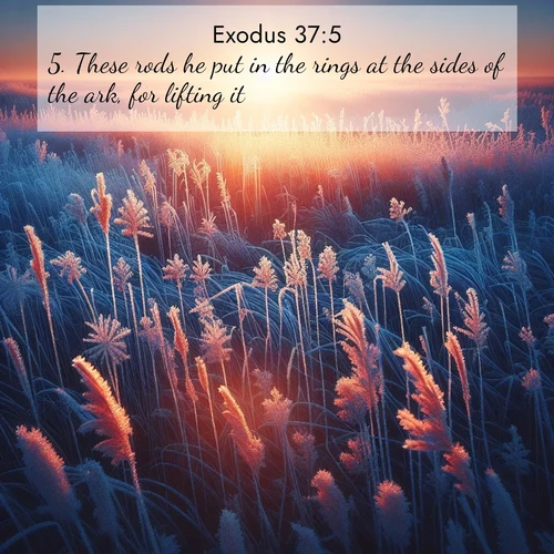BasicEnglish Exodus  ; image nature: image with the bible verse :These rods he put in the rings at the sides of the ark, for lifting it. ; Browse beautiful Bible verse images accompanied by peaceful scenes like calm seas, ancient forests, and radiant horizons. Download high-quality, free images featuring verses such as KJV Exodus 37:5. Current verse is overlayed with the thematic nature scene : Winter sunrise illuminates frost-covered prairie grass. ; 37:5
