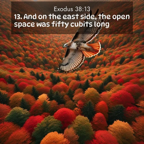 BBE Exodus 38:13 overlaying nature image scene: A red-tailed hawk circles above autumn woods. Leaves below form a mosaic of fire.;13. And on the east side, the open space was fifty cubits long.