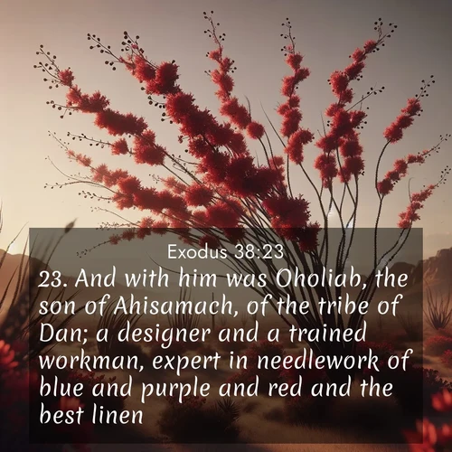 BBE Exodus 38:23 overlaying nature image scene: Desert ocotillo flames crimson red. Wind sings through thorny branches.;23. And with him was Oholiab, the son of Ahisamach, of the tribe of Dan; a designer and a trained workman, expert in needlework of blue and purple and red and the best linen.