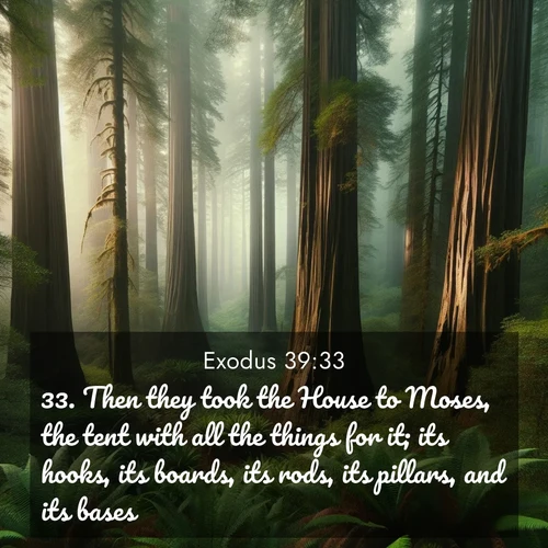 BasicEnglish Exodus  ; image nature: image with the bible verse :Then they took the House to Moses, the tent with all the things for it; its hooks, its boards, its rods, its pillars, and its bases; ; Admire our gallery of Bible verse images showcasing divine beauty in nature—whether snowy peaks or serene oceans. Each image is freely downloadable and perfect for personal or spiritual use. Share verses like KJV Exodus 39:33. Current verse is overlayed with the thematic nature scene : Coastal redwoods disappear into the fog high above a fern grove. ; 39:33