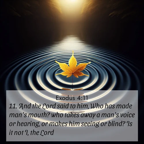 BBE Exodus 4:11 overlaying nature image scene: A single maple leaf floats on black water. Concentric ripples spread outward into infinity.;11. And the Lord said to him, Who has made man's mouth? who takes away a man's voice or hearing, or makes him seeing or blind? Is it not I, the Lord?