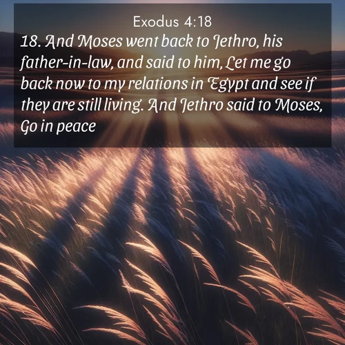 BBE Exodus 4:18 overlaying nature image scene: Summer breeze ripples through fields of prairie grass.;18. And Moses went back to Jethro, his father-in-law, and said to him, Let me go back now to my relations in Egypt and see if they are still living. And Jethro said to Moses, Go in peace.