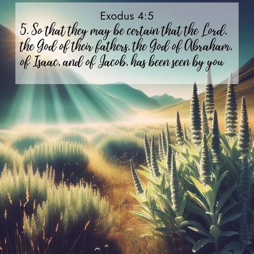 BBE Exodus 4:5 overlaying nature image scene: Summer heat brings out the scent of sage in mountain meadows.;5. So that they may be certain that the Lord, the God of their fathers, the God of Abraham, of Isaac, and of Jacob, has been seen by you.