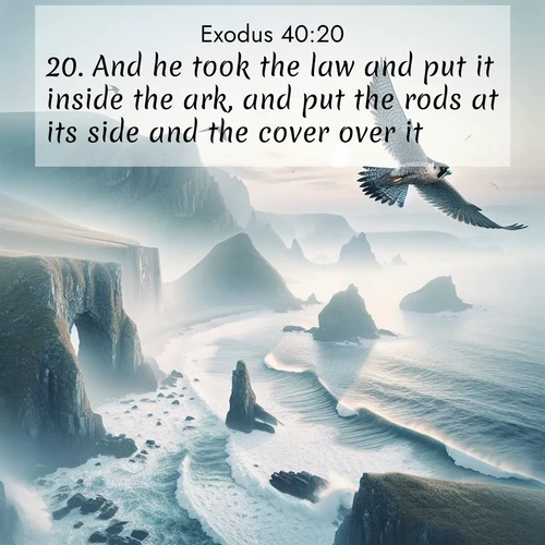 BasicEnglish Exodus  ; image nature: image with the bible verse :And he took the law and put it inside the ark, and put the rods at its side and the cover over it; ; Explore a winter collection of Bible verse images adorned with photos of icy landscapes, frozen waterfalls, and snow-covered forests. These scenes capture divine tranquility and purity. Download inspiring verses like KJV Exodus 40:20. Current verse is overlayed with the thematic nature scene : A peregrine falcon rides thermal currents above coastal cliffs. Waves crash endlessly against the rocks below. ; 40:20