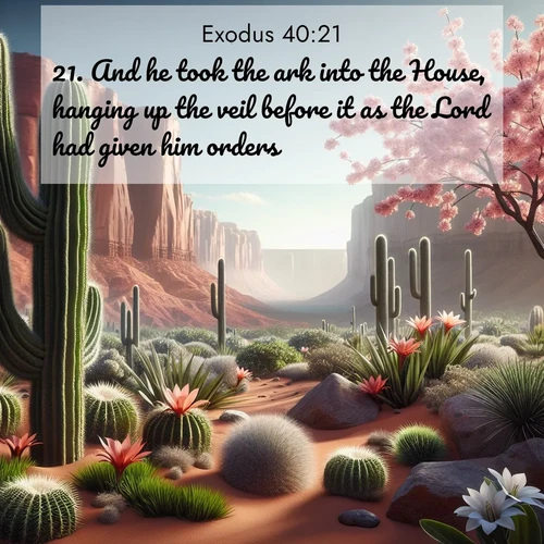 BasicEnglish Exodus  ; image nature: image with the bible verse :And he took the ark into the House, hanging up the veil before it as the Lord had given him orders. ; Discover breathtaking Bible verse images combined with vibrant landscapes like rolling hills, blooming gardens, and starry nights. Use them as wallpapers or to inspire others. Download verses like KJV Exodus 40:21. Current verse is overlayed with the thematic nature scene : Desert cacti burst with spring blooms against red sandstone formations. ; 40:21