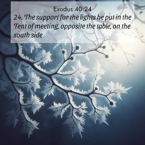 BasicEnglish Exodus  ; image nature: image with the bible verse :The support for the lights he put in the Tent of meeting, opposite the table, on the south side: ; Download inspiring Bible verse images featuring stunning natural vistas, from tropical islands to rolling hills. These free images make perfect wallpapers or gifts. Share verses like KJV Exodus 40:24. Current verse is overlayed with the thematic nature scene : Winter frost coats bare branches in delicate crystal. ; 40:24