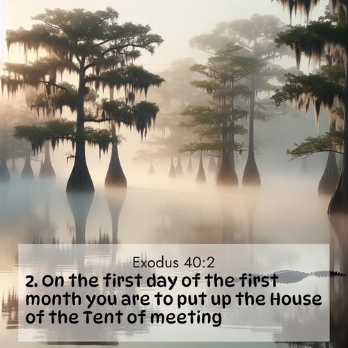 BasicEnglish Exodus  ; image nature: image with the bible verse :On the first day of the first month you are to put up the House of the Tent of meeting. ; Discover Bible verses beautifully integrated with natural scenes of varied seasons, featuring summer skies, winter snow, autumn leaves, and spring blooms. Each image captures the splendor and peace of God&#039;s creation. Share verses like KJV Exodus 40:2. Current verse is overlayed with the thematic nature scene : Morning fog clings to gnarled cypress trees in the swamp. An alligator glides silently through the dark water. ; 40:2