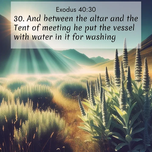 BasicEnglish Exodus  ; image nature: image with the bible verse :And between the altar and the Tent of meeting he put the vessel with water in it for washing. ; Browse a vast collection of Bible verse images featuring awe-inspiring landscapes such as calm lakes, vibrant sunsets, and peaceful fields. Download them for free and enjoy verses like KJV Exodus 40:30. Current verse is overlayed with the thematic nature scene : Summer heat brings out the scent of sage in mountain meadows. ; 40:30
