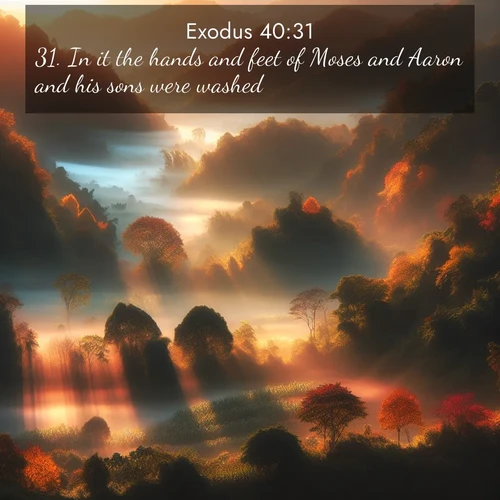 BasicEnglish Exodus  ; image nature: image with the bible verse :In it the hands and feet of Moses and Aaron and his sons were washed, ; Discover a gallery of Bible verse images showcasing the beauty of autumn, with golden leaves, red forests, and peaceful fields bathed in soft light. These soothing scenes are perfect for accompanying inspiring verses like KJV Exodus 40:31. Current verse is overlayed with the thematic nature scene : Autumn mist rises from warming morning valleys. ; 40:31