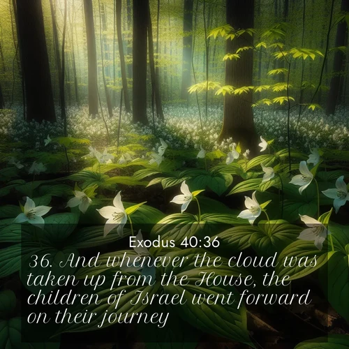 BasicEnglish Exodus  ; image nature: image with the bible verse :And whenever the cloud was taken up from the House, the children of Israel went forward on their journey: ; Browse high-resolution Bible verse images featuring stunning nature photography, such as radiant sunsets, tranquil rivers, and blooming fields. Perfect for wallpapers or sharing on social media. Download KJV Exodus 40:36. Current verse is overlayed with the thematic nature scene : Wild trillium carpets the forest floor. Sunlight filters green through new spring leaves. ; 40:36