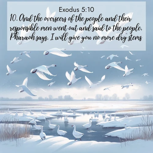 BasicEnglish Exodus  ; image nature: image with the bible verse :And the overseers of the people and their responsible men went out and said to the people, Pharaoh says, I will give you no more dry stems. ; Explore a collection of free Bible verse images paired with serene landscapes like golden beaches, verdant forests, and clear blue skies. Each image is ideal for desktop or phone wallpapers. Share verses like KJV Exodus 5:10. Current verse is overlayed with the thematic nature scene : Snow geese take flight from a winter marsh. Their wings flash white against leaden skies. ; 5:10