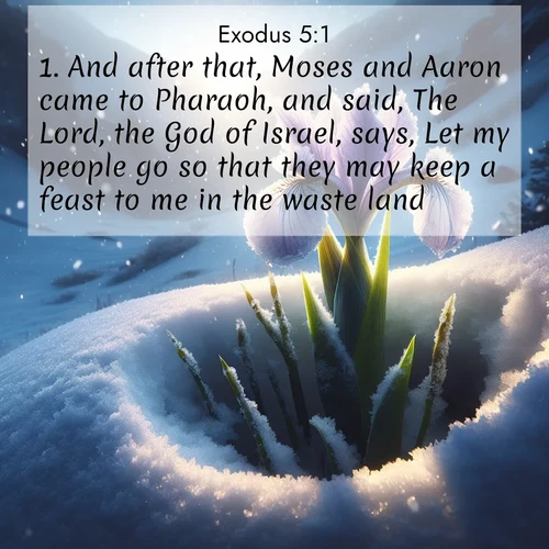BasicEnglish Exodus  ; image nature: image with the bible verse :And after that, Moses and Aaron came to Pharaoh, and said, The Lord, the God of Israel, says, Let my people go so that they may keep a feast to me in the waste land. ; Explore Bible verse images highlighting the beauty of spring, with vibrant flowers, butterflies, and blossoming fruit trees. These scenes evoke divine hope and renewal. Download inspiring verses like KJV Exodus 5:1. Current verse is overlayed with the thematic nature scene : Wild iris breaks through spring snow. Alpine light ignites petals. ; 5:1