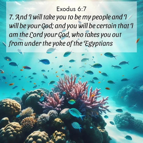 BasicEnglish Exodus  ; image nature: image with the bible verse :And I will take you to be my people and I will be your God; and you will be certain that I am the Lord your God, who takes you out from under the yoke of the Egyptians. ; Explore beautiful Bible verse images paired with serene natural settings, such as calm seas, snowy paths, and verdant hills. Each image is free to download for your spiritual inspiration. Share KJV Exodus 6:7. Current verse is overlayed with the thematic nature scene : Tropical fish dart through coral reefs in crystal-clear waters. ; 6:7