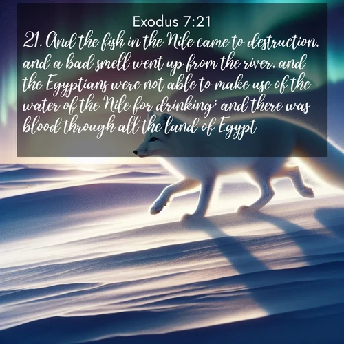 BasicEnglish Exodus  ; image nature: image with the bible verse :And the fish in the Nile came to destruction, and a bad smell went up from the river, and the Egyptians were not able to make use of the water of the Nile for drinking; and there was blood through all the land of Egypt. ; Admire our gallery of Bible verse images paired with serene nature photography, featuring starlit skies, golden sands, and blooming wildflowers. Download and share verses like KJV Exodus 7:21. Current verse is overlayed with the thematic nature scene : An arctic fox hunts across windswept tundra. Northern lights paint its white coat in pastels. ; 7:21