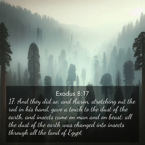 BBE Exodus 8:17 overlaying nature image scene: Ancient sequoias pierce through valley fog. Centuries of growth reach for filtered light.;17. And they did so; and Aaron, stretching out the rod in his hand, gave a touch to the dust of the earth, and insects came on man and on beast; all the dust of the earth was changed into insects through all the land of Egypt.
