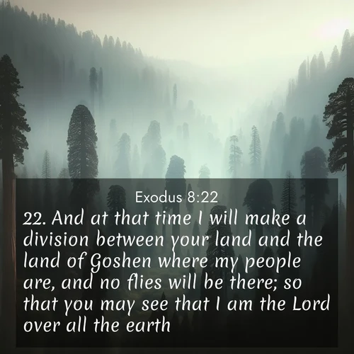 BBE Exodus 8:22 overlaying nature image scene: Ancient sequoias pierce through valley fog. Centuries of growth reach for filtered light.;22. And at that time I will make a division between your land and the land of Goshen where my people are, and no flies will be there; so that you may see that I am the Lord over all the earth.