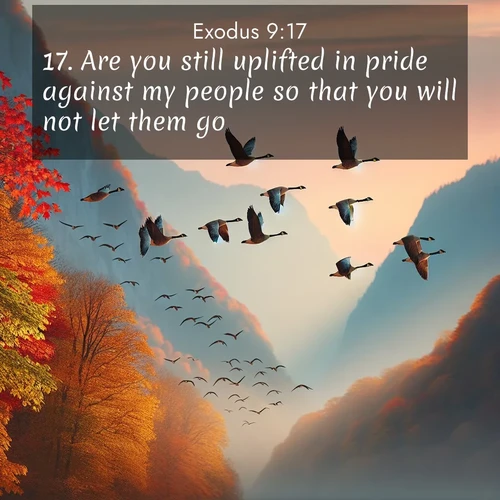 BasicEnglish Exodus  ; image nature: image with the bible verse :Are you still uplifted in pride against my people so that you will not let them go? ; Download Bible verse images paired with breathtaking nature photos like golden deserts, shimmering seas, and blossoming orchards. These high-quality, free images are perfect for wallpapers or sharing. Verses include KJV Exodus 9:17. Current verse is overlayed with the thematic nature scene : Wild geese arrow through autumn skies. Their calls echo off mountain walls. ; 9:17