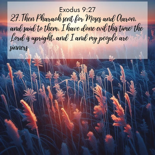 BasicEnglish Exodus  ; image nature: image with the bible verse :Then Pharaoh sent for Moses and Aaron, and said to them, I have done evil this time: the Lord is upright, and I and my people are sinners. ; Admire Bible images evoking autumn, with warm colors of fallen leaves, harvested fields, and tranquil woods. These inspiring landscapes reflect the transition and beauty of God&#039;s creation. Download verses like KJV Exodus 9:27. Current verse is overlayed with the thematic nature scene : Winter sunrise illuminates frost-covered prairie grass. ; 9:27