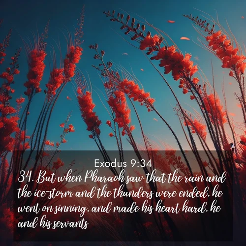 BasicEnglish Exodus  ; image nature: image with the bible verse :But when Pharaoh saw that the rain and the ice-storm and the thunders were ended, he went on sinning, and made his heart hard, he and his servants. ; Explore an inspiring selection of Bible verse images adorned with nature photos, such as starry skies, verdant hills, and golden beaches. Each image reflects the peace and beauty of God&#039;s creation with vibrant colors and varied fonts. Share uplifting verses like KJV Exodus 9:34. Current verse is overlayed with the thematic nature scene : Desert ocotillo flames against blue sky. Wind sings through its scarlet blooms. ; 9:34