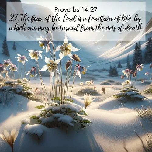 BasicEnglish Proverbs  ; image nature: image with the bible verse :The fear of the Lord is a fountain of life, by which one may be turned from the nets of death. ; Discover our curated gallery of Bible verse images with breathtaking scenery, from tranquil deserts to lush green pastures. Perfect for phone wallpapers or sharing online. Download verses like KJV Proverbs 14:27. Current verse is overlayed with the thematic nature scene : Wild columbines nod in alpine breeze. Glacier lilies dot snowy meadows. ; 14:27