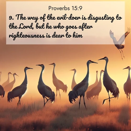 BasicEnglish Proverbs  ; image nature: image with the bible verse :The way of the evil-doer is disgusting to the Lord, but he who goes after righteousness is dear to him. ; Discover our unique collection of Bible verse images integrated with photos showcasing the majesty of nature, such as rocky mountains, ancient trees, and crystal-clear lakes. These images feature luminous colors and text in varied fonts, reflecting the harmony of God&#039;s creation. Download verses like KJV Proverbs 15:9. Current verse is overlayed with the thematic nature scene : Sandhill cranes dance in morning mist. Their calls echo across the marsh. ; 15:9