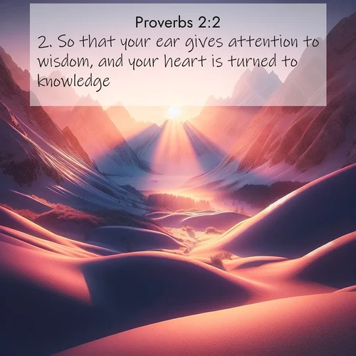 BBE 20 2:2