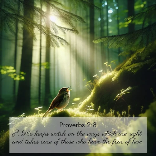 BBE Proverbs 2:8 overlaying nature image scene: A hermit thrush sings from deep woods. Sunlight filters through green canopy.;8. He keeps watch on the ways which are right, and takes care of those who have the fear of him.