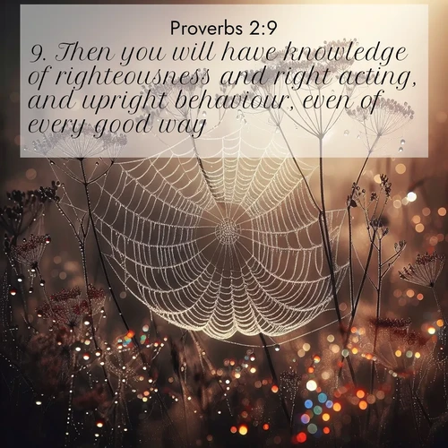 BBE Proverbs 2:9 overlaying nature image scene: Morning fog reveals spider galaxies. Dew drops capture rainbow light.;9. Then you will have knowledge of righteousness and right acting, and upright behaviour, even of every good way.