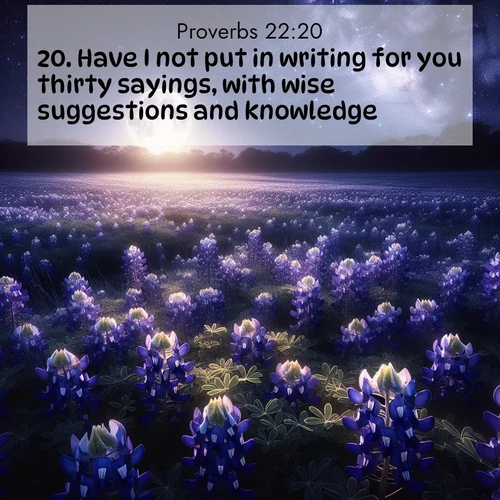 BasicEnglish Proverbs  ; image nature: image with the bible verse :Have I not put in writing for you thirty sayings, with wise suggestions and knowledge, ; Admire Bible images evoking autumn, with warm colors of fallen leaves, harvested fields, and tranquil woods. These inspiring landscapes reflect the transition and beauty of God&#039;s creation. Download verses like KJV Proverbs 22:20. Current verse is overlayed with the thematic nature scene : Moonlight illuminates a field of bluebonnets. A warm breeze carries their sweet fragrance across the prairie. ; 22:20