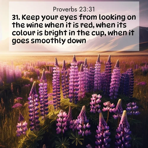BBE Proverbs 23:31 overlaying nature image scene: Wild lupines paint purple meadows. Snow lingers on distant peaks.;31. Keep your eyes from looking on the wine when it is red, when its colour is bright in the cup, when it goes smoothly down: