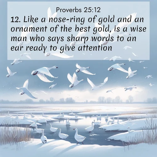 BBE Proverbs 25:12 overlaying nature image scene: Snow geese take flight from a winter marsh. Their wings flash white against leaden skies.;12. Like a nose-ring of gold and an ornament of the best gold, is a wise man who says sharp words to an ear ready to give attention.